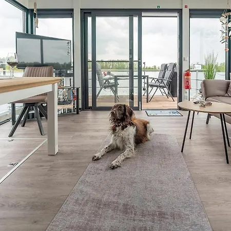 Botel Hausboot Achat